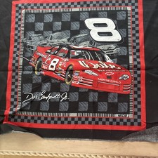 Dale Earnhardt Jr. 8 Nascar Cotton Fabric 19"X17.5" pillow top