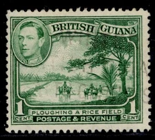 BRITISH GUIANA GVI SG308, 1c yellow-green, FINE USED.