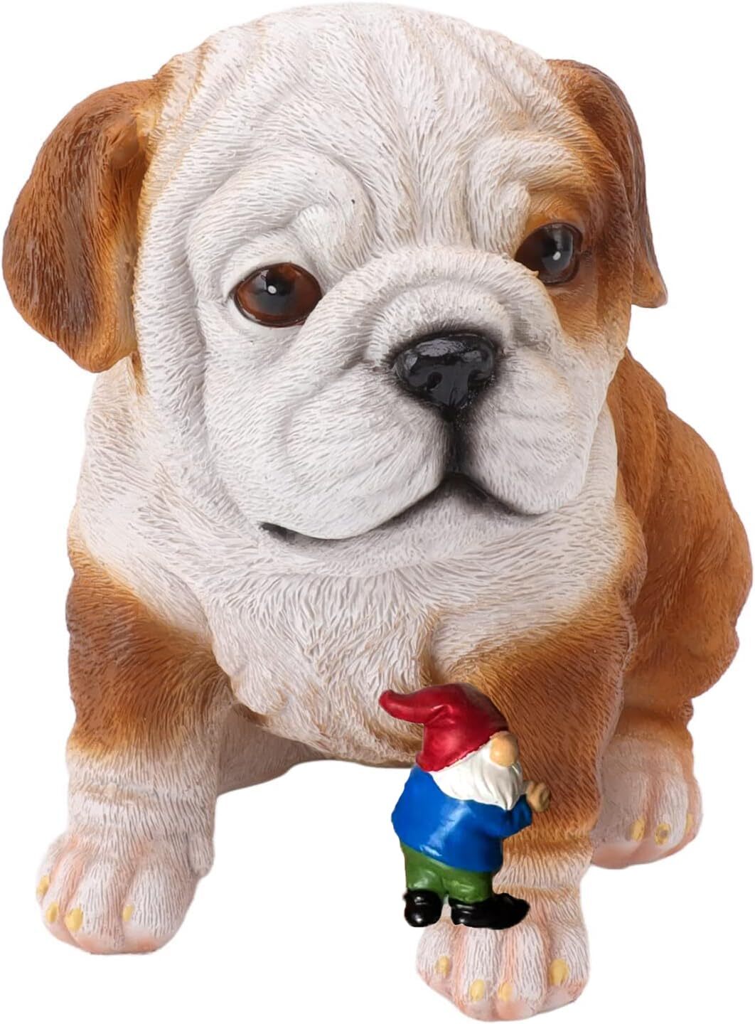 Funny Gnome Statue Sharpei Garden Sculpture Indoor/Outdoor Cute Do...