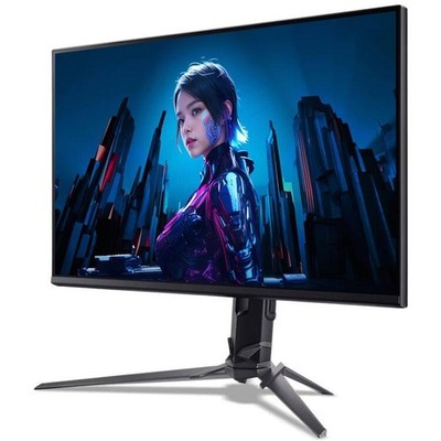 Acer 24.5