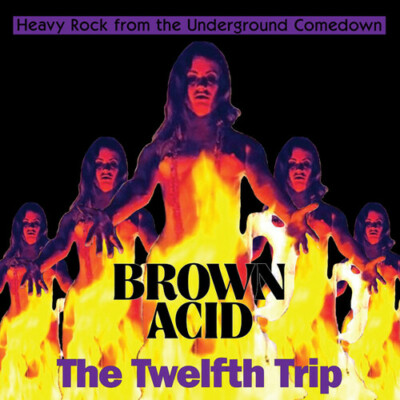 Various Artists - Brown Acid - The Twelfth Trip (Various Artists) [New CD]