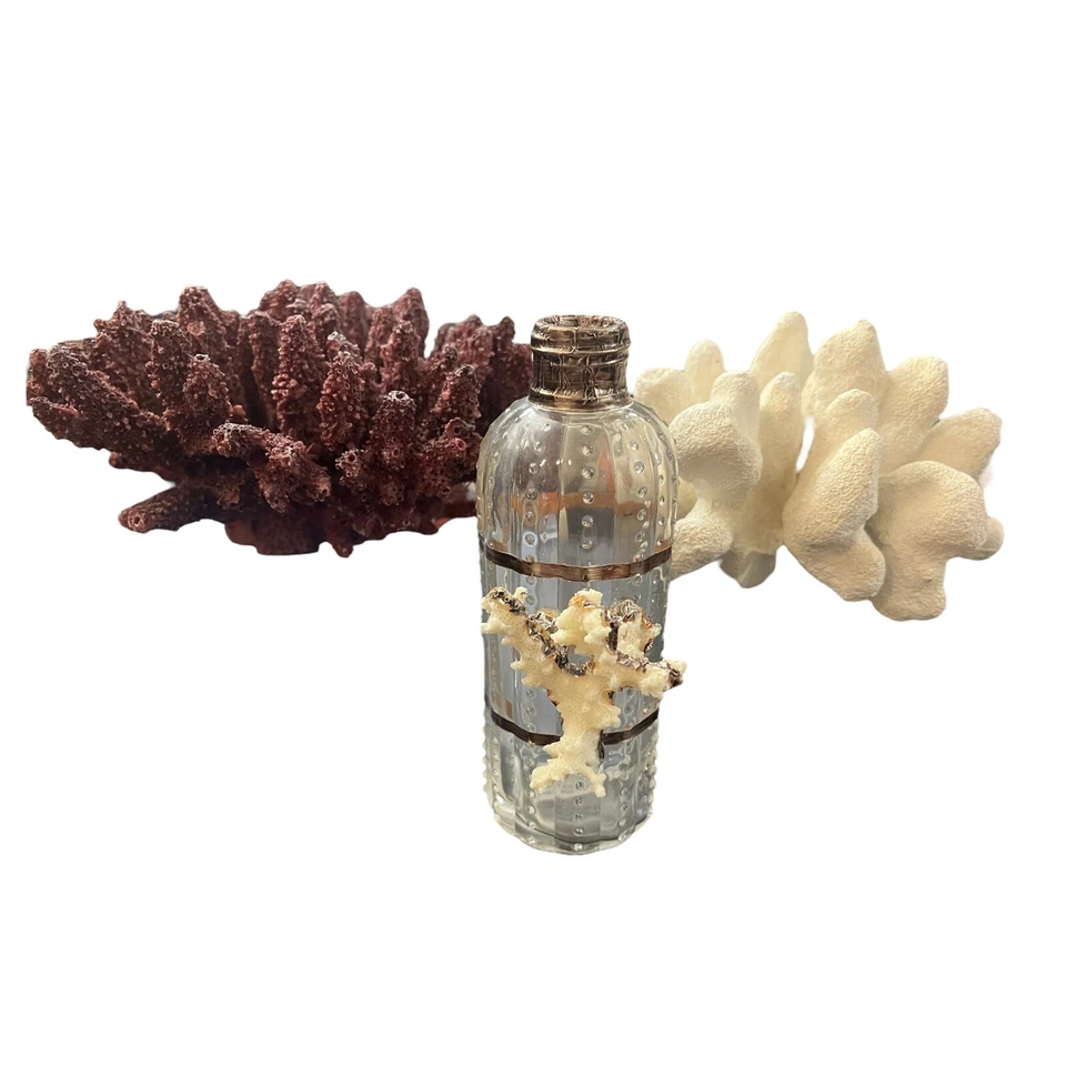 POTTERY BARN Imitación CORAL Trío Dedo Rojo Coral, Coliflor Blanca, Botella Dorada Foto 3 de 4