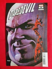 Daredevil #36- CVR C Dan Panosian Foreshadow Variant 1st Print, 2022 VF/NM!