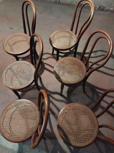 6 SEDIE tipo Vienna Thonet Jacob & Joseph KOHN Wien In Ottime Condizioni - Foto 10 di 11