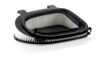 MANN-FILTER Luftfilter C 36 014 Filtereinsatz FüR Bmw X5 X3 X6 E71 F25 E70 F15