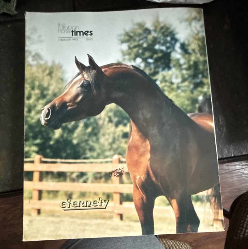 The Arabian Horse Times Magazine February 1993 - Illustrated / O. Weikel
