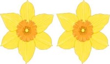 2.5in X 3in Yellow Daffodil Vinyl Stickers Car Truck Vehicle Bumper Decals 2.5in X 3in Yellow Daffodil Vinyl Stickers Car Truck Vehicle Bumper Decals