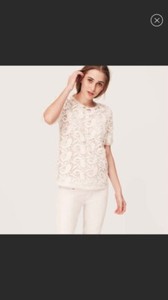 loft petite blouses
