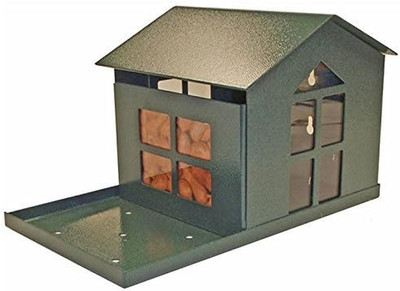 Durable Bird Proof Squirrel Feeder - If You Can'T Beat Them, Feed Them