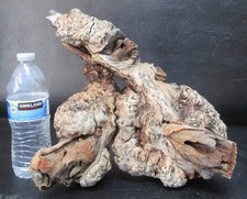 manzanita burl wood  D216 11" x 8 1/2" x 11" at the tallest point