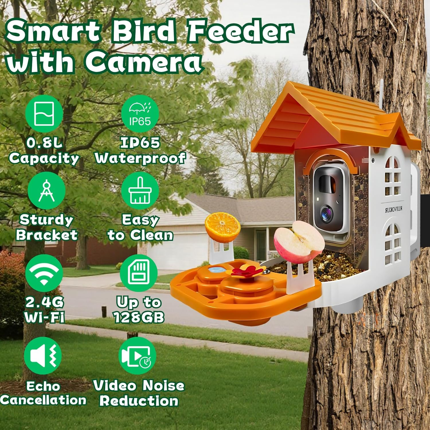 Smart Bird Feeder with Camera, 2.4Ghz Wifi Watching Camera Bird Feeders for Outd
