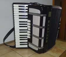 Akkordeon Delicia Carmen 96 Bässe 7 Register mit Polstertasche