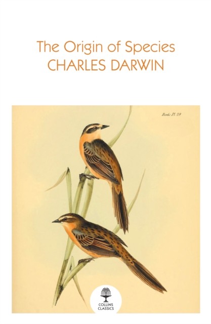 The Origin of Species by Charles Darwin (Paperback Book) - Image 3