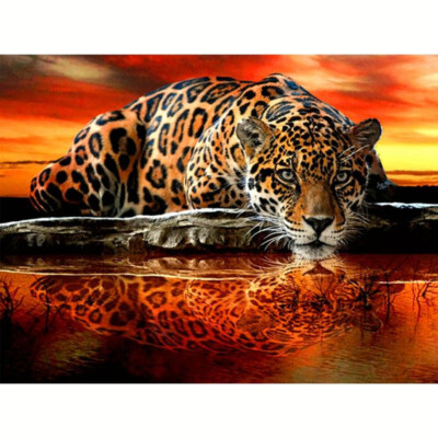 Diamond Painting Leopard Tier Diamant Malerei basteln Stickpackung 30 x 40 cm