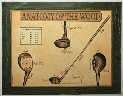 Anatomie des Waldes, von J. Pennington, Reproduktionsdruck