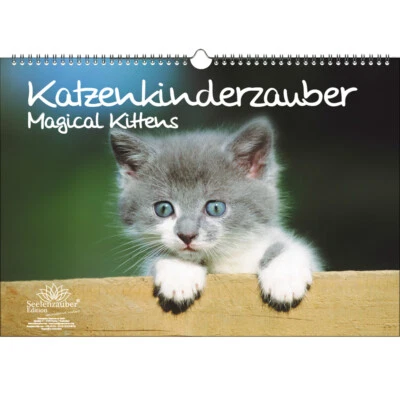 SEELENZAUBER GMBH Katzenkinderzauber DIN A3 Immerwährender Kalender Katzenkinder Katzenbabys - See