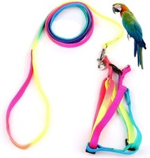Adjustable Feather Tether Bird Harness and Leash for Macaw Cockatoos Parrots