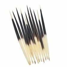 10 Pcs Porcupine Quills Work Fishing Bobber Craft Handwork Custom Made Supplies