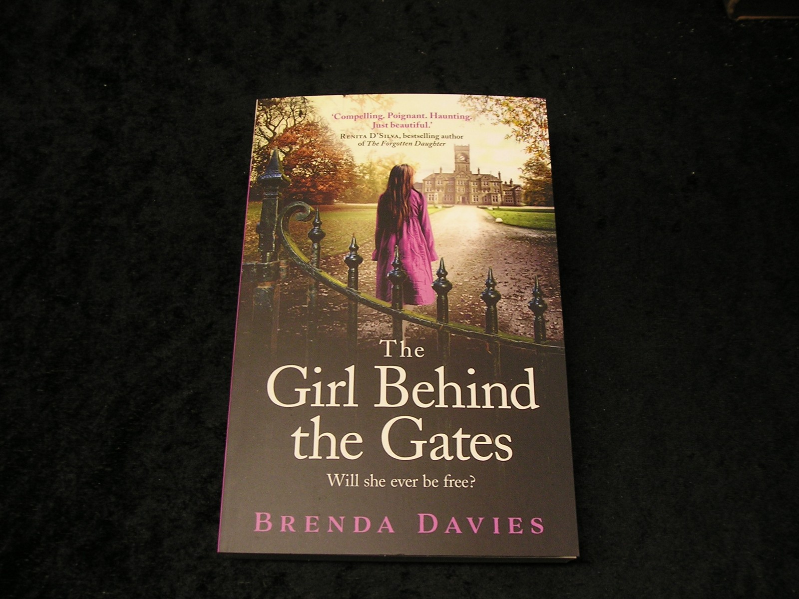 The Girl Behind the Gates