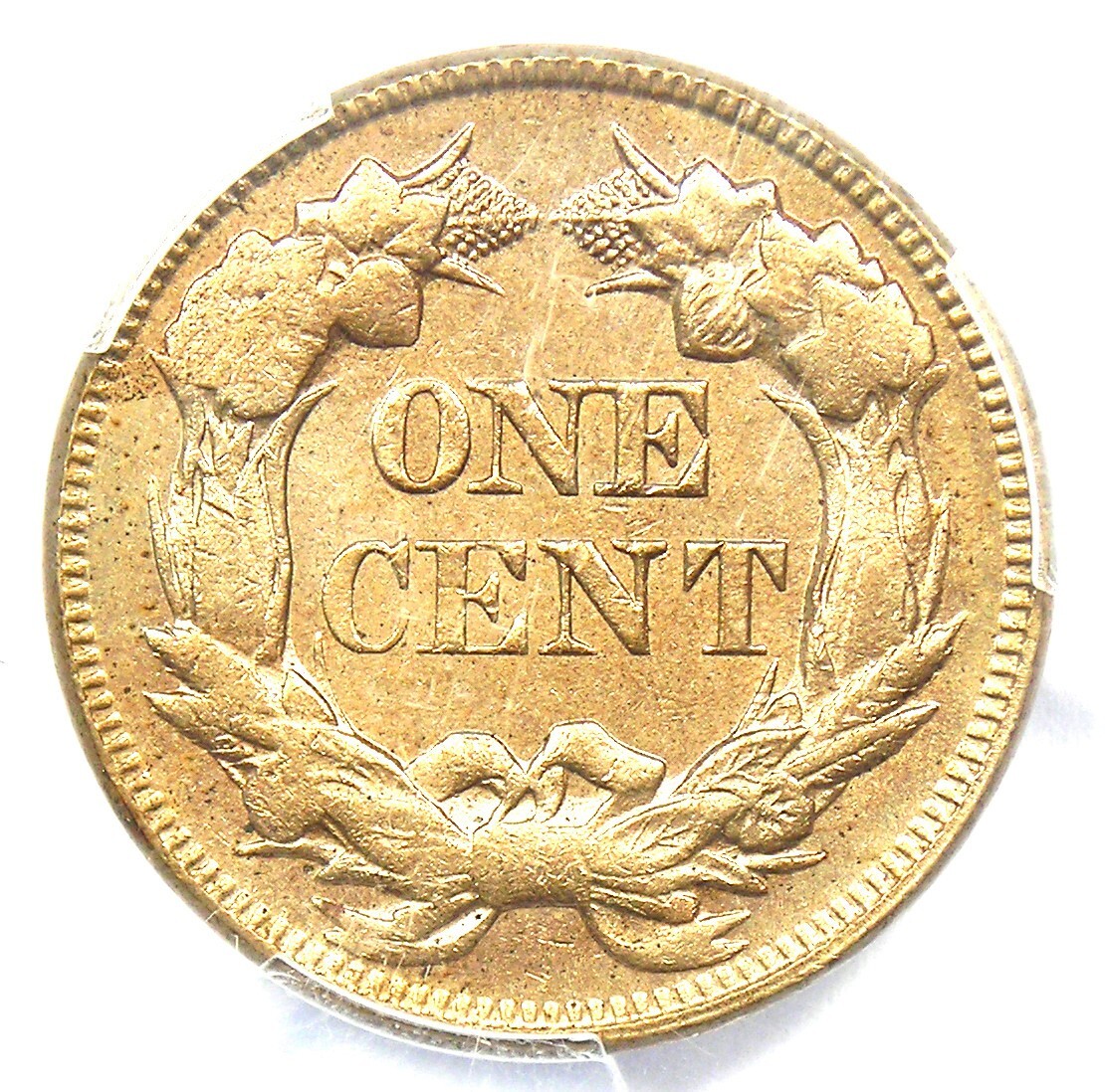 1857 Flying Eagle Cent 1C Penny Coin - Certified PCGS Uncirculated Detail UNC MS