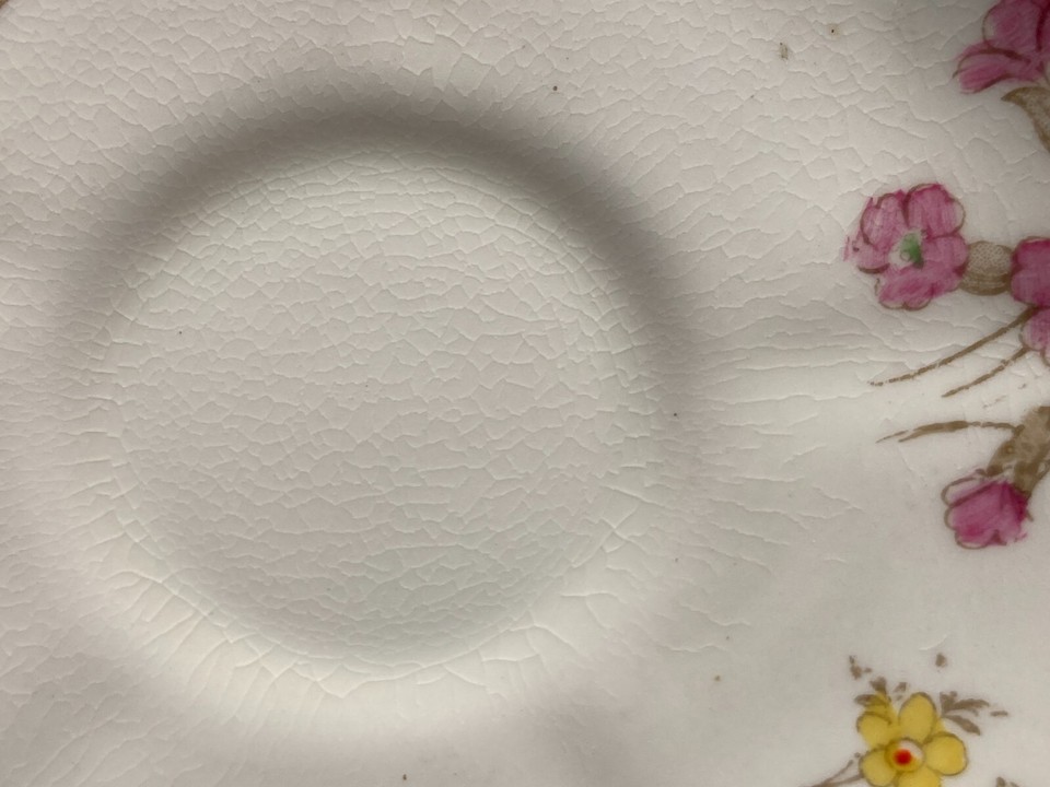 Footed Demitasse Tea Cup & Saucer Set Plant Tuscan China England Pretty