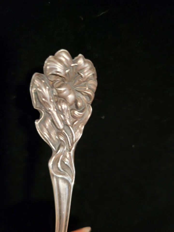 Cuchara de recuerdo de plata esterlina escuela secundaria jaspe Minnesota Minn MN Foto 2 de 4