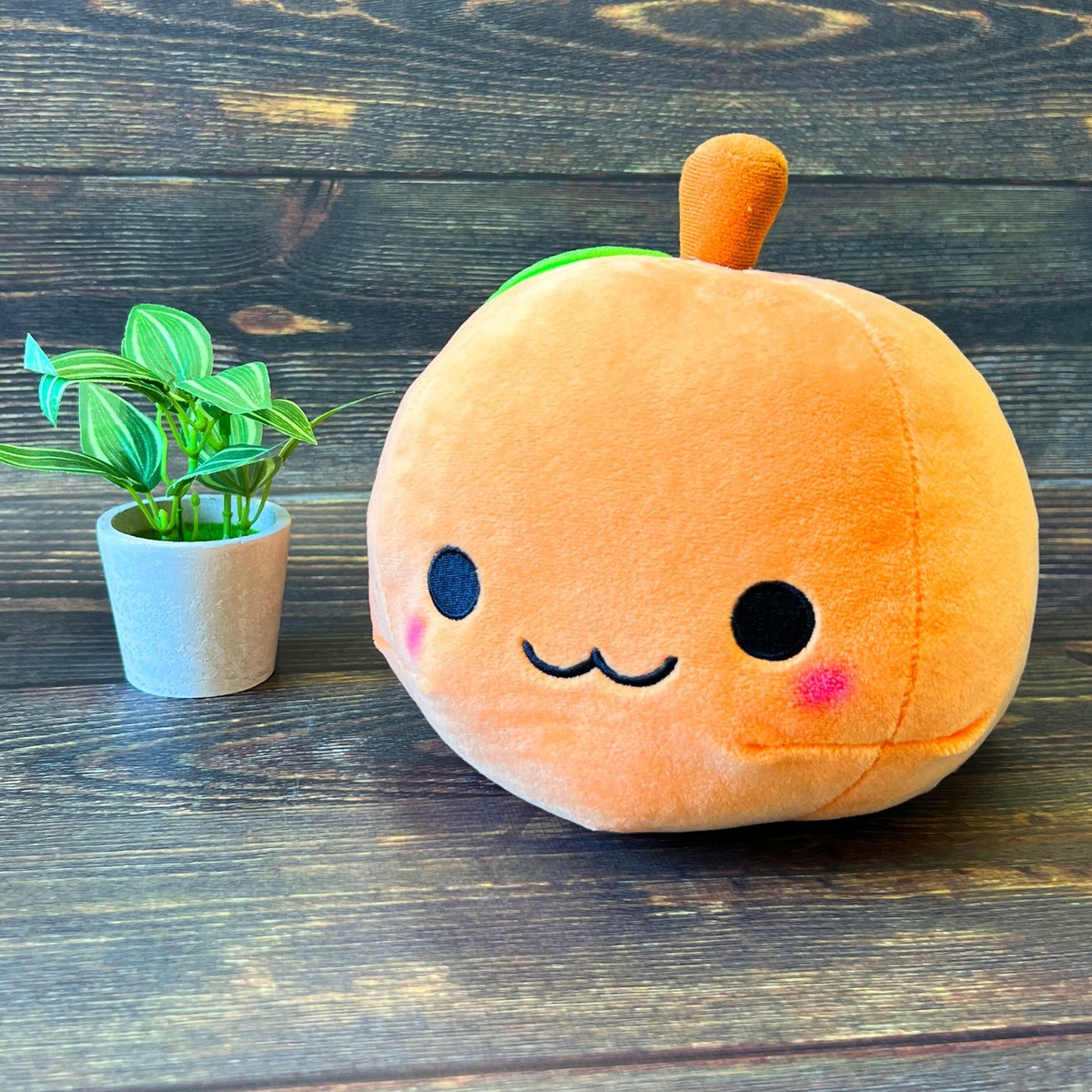 Orange 6 Orange 6
