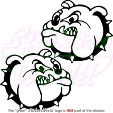 Bulldog Inglese Cane Arrabbiato, 125mm Vinile Adesivo 22 COLORI