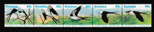 Guyana 1984 Christmas. Swallow-tailed Kites UM Strip of 5