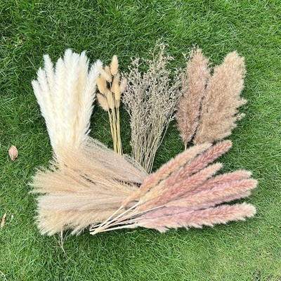 100Pcs Pampas Grass Boho Home Decor 17 inch 100, Off-white,beige,brown,grey 