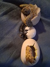 3 Diffrent Baby Turtles Hatching Out Of Shells Figurines