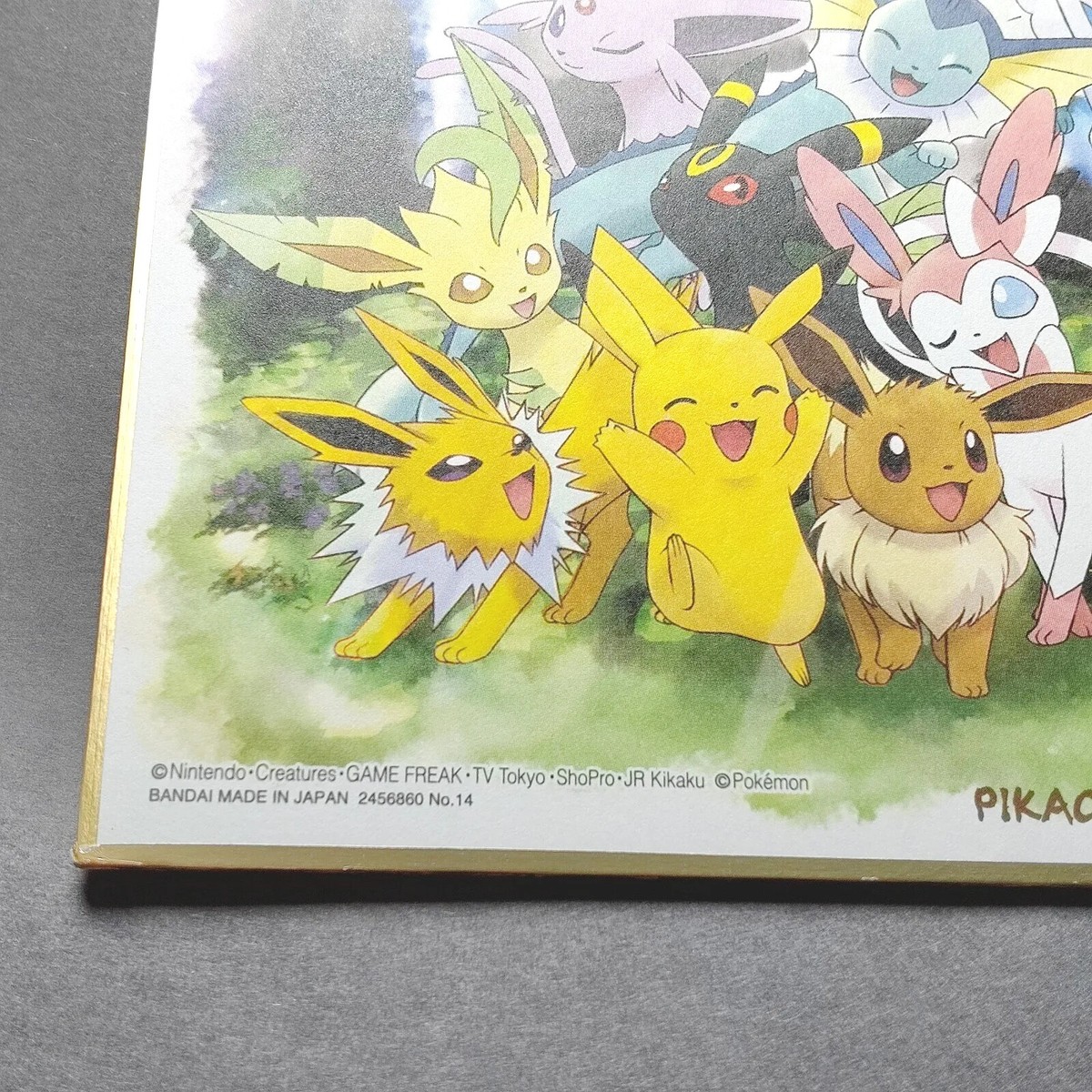 Van Gosh Pikachu Eevee ゴッホ ピカチュウ イーブイ Van Gosh Pikachu Eevee ゴッホ ピカチュウ イーブイ