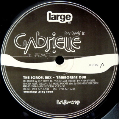 Roy Davis Jr. Gabrielle Vinyl Single 12inch Large Records