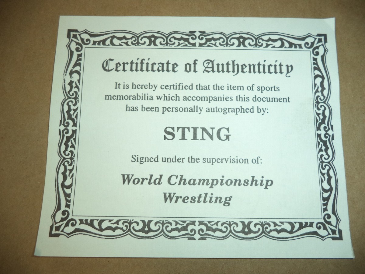 Bill Dotson portrait of Sting Autographed with coa 1/2500 WCW/AEW
