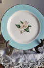 VTG Hommer Laughlin Lifetime China Turquoise Semi-Vitreous  Round Salad Plate — photo 2