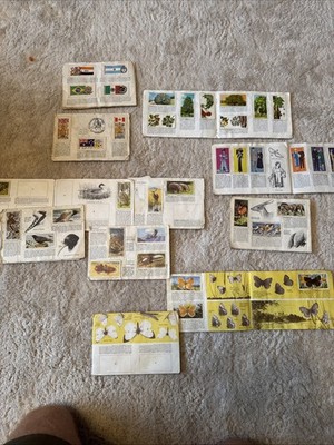 Vintage Brooke Bond Card Albums Wildlife, Flags, Butterflies, Prehistoric, Trees