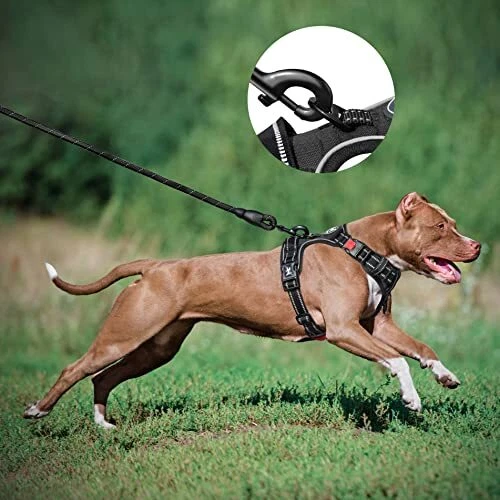Dog Harness andeash Combo, Escape Proof No Pull Vest Harness, with 5 L Black