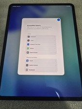 Apple iPad Pro 13in Gray 256MB Wi Fi+4G  Touc...