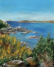 Acrylic Painting - Michael Donne - Spring In Isles Of Scilly - 2004