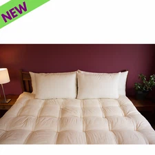 Holy Lamb Certified Organic Wool Bed Pillows Queen Size Regular 20” x 30”