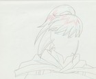 The Twelve Kingdoms Juuni Kokki Genga Douga Original Sketches Pierrot - Youko — photo 3