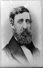 8" x 10" Photo 1879 Henry David Thoreau, Head-and-Shoulders Portrait