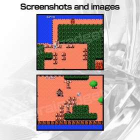 Ghosts 'n Goblins & Makaijima (Pirate Ship Higemaru) Famicom / FC [Japanese NES]