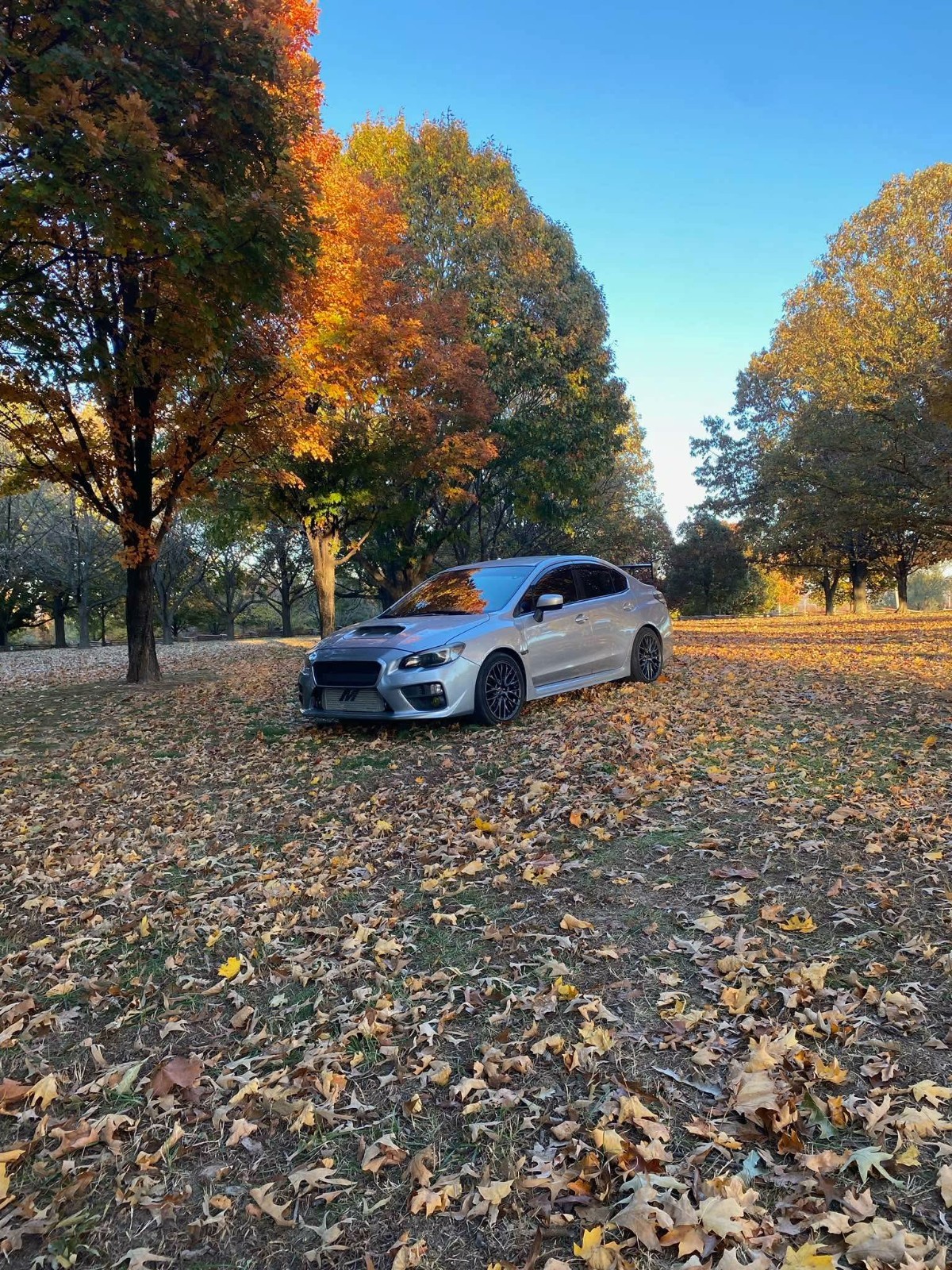 2015 Subaru WRX