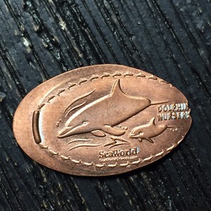 Dolphins Sea World Orlando Smashed pressed elongated penny P1615 | eBay