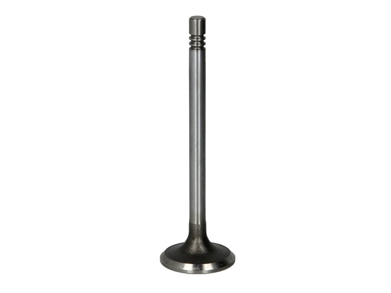 Picture 1