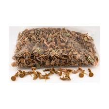 HBG Historical Minis Axis  Allies British Infantry Collection 19 NM