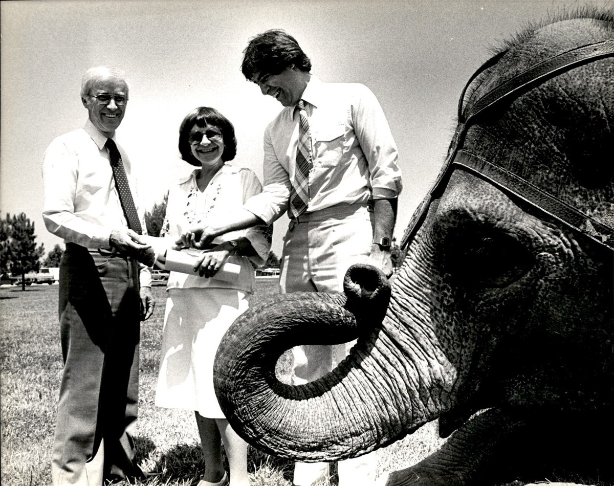 LAE6 Original Garry Watson Photo CIRCUS ELEPHANT PERFORMING AT