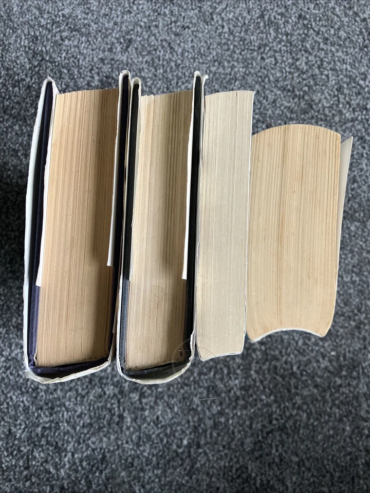 Tragic Life Books Bundle X 4 Stories Child Abuse Domestic Abuse Dave Pelzer GAR - Image 3 of 4