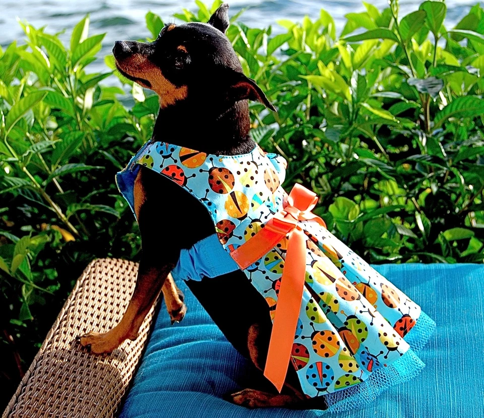 Vestido azul o dorado/multi estampado Ladybug para perro XS-M hecho en EE. UU. perros cachorros, Foto 2 de 4